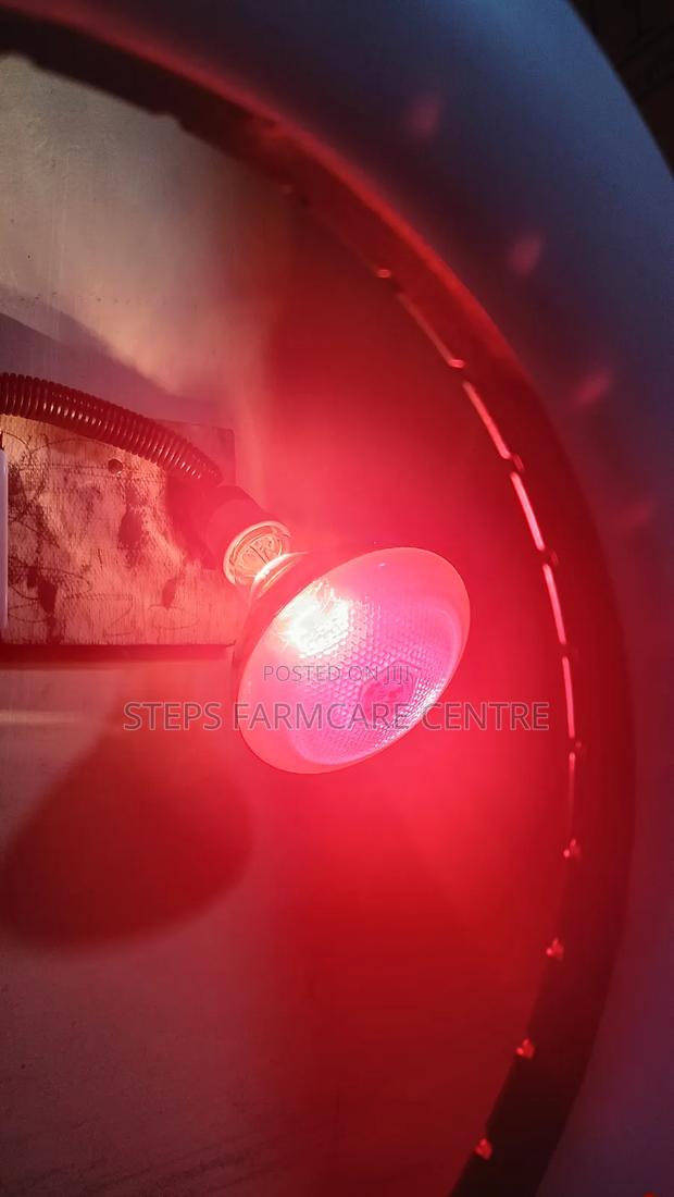 250 W Brooding Bulbs With Ceramic Holders - thumbnail 3