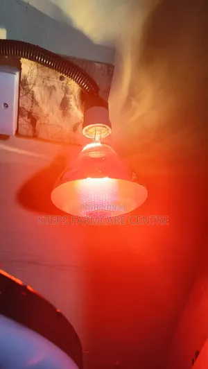 250 W Brooding Bulbs With Ceramic Holders
