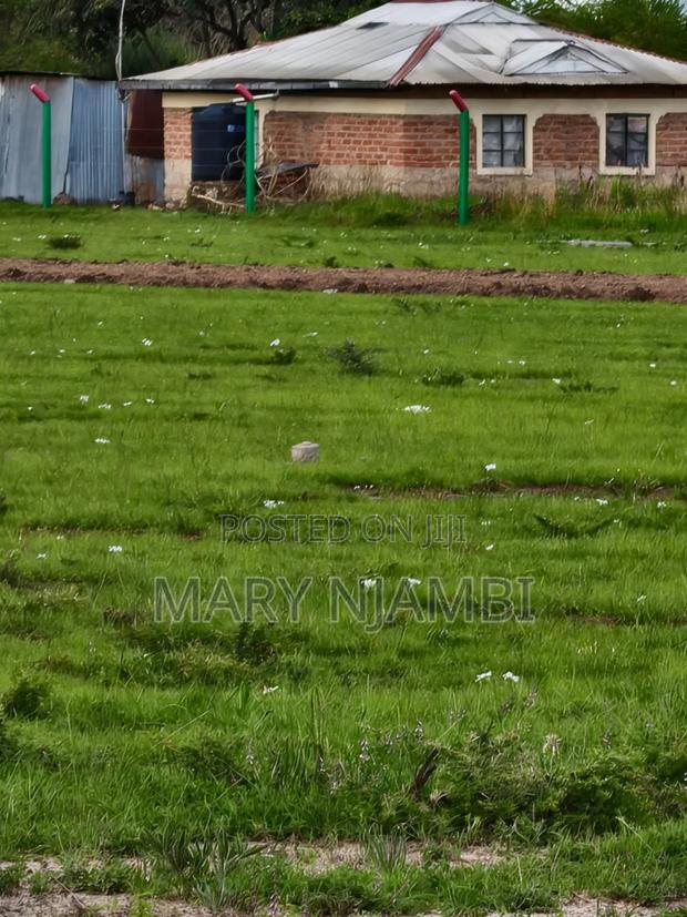 Real Estate - thumbnail 3