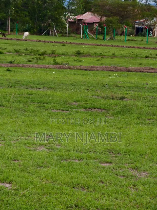 Real Estate - thumbnail 5