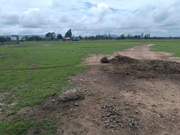 Real Estate - thumbnail 6