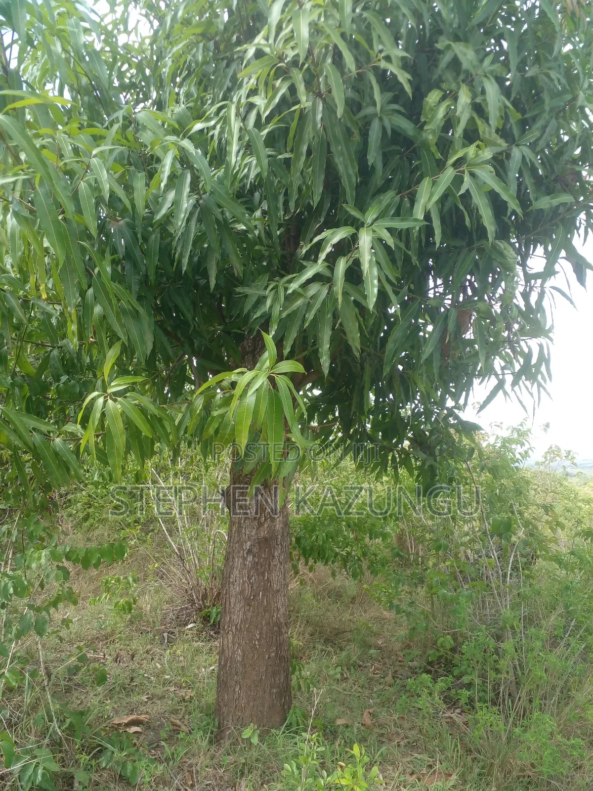 4 Acres Plot on Sale at Magodzoni, Not Far From Tiwi, in Kwale Zone.