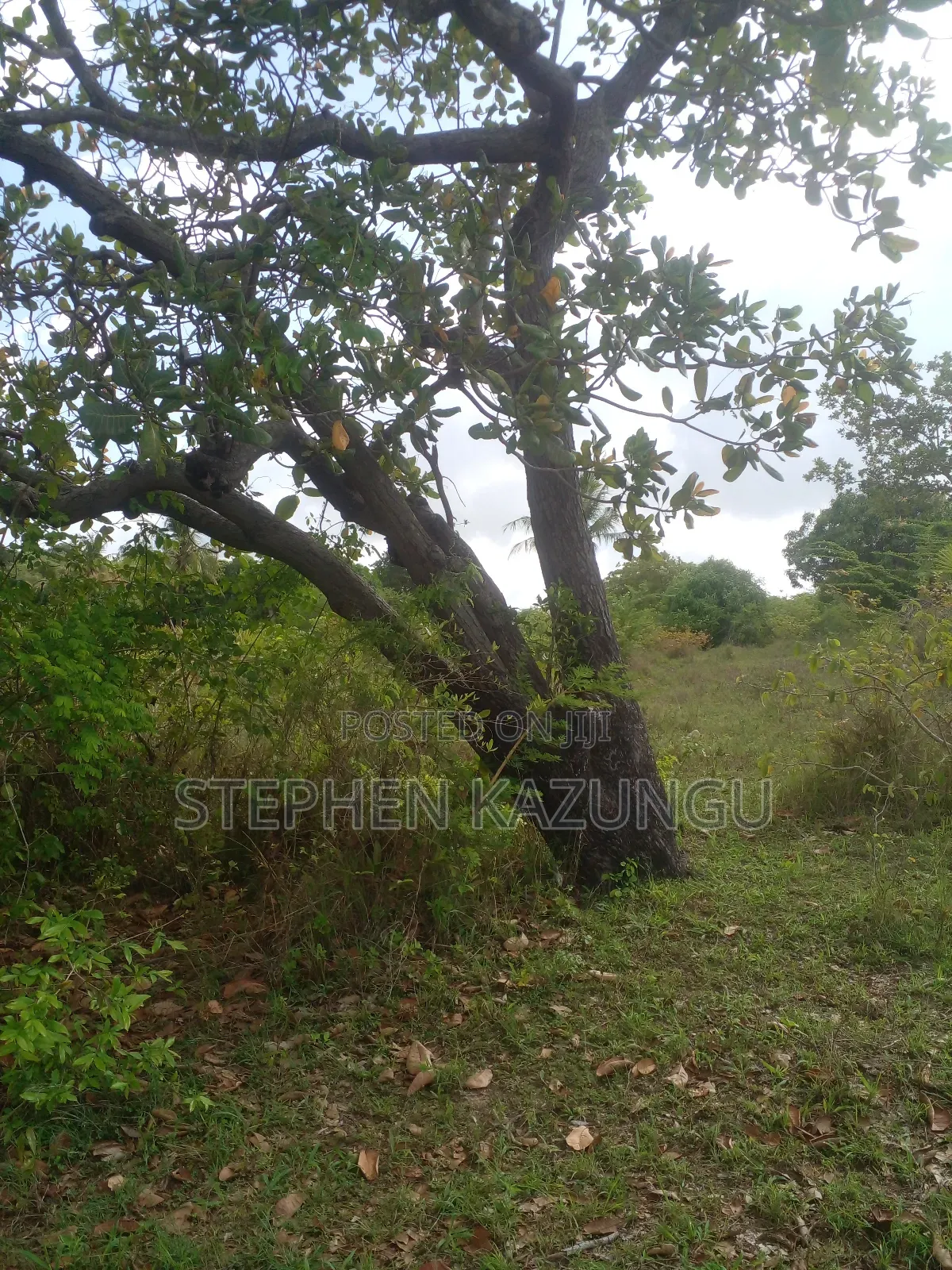 4 Acres Plot on Sale at Magodzoni, Not Far From Tiwi, in Kwale Zone.