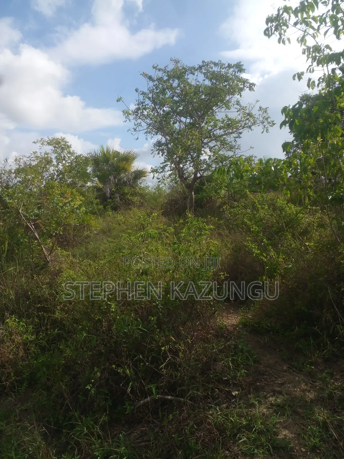 4 Acres Plot on Sale at Magodzoni, Not Far From Tiwi, in Kwale Zone.