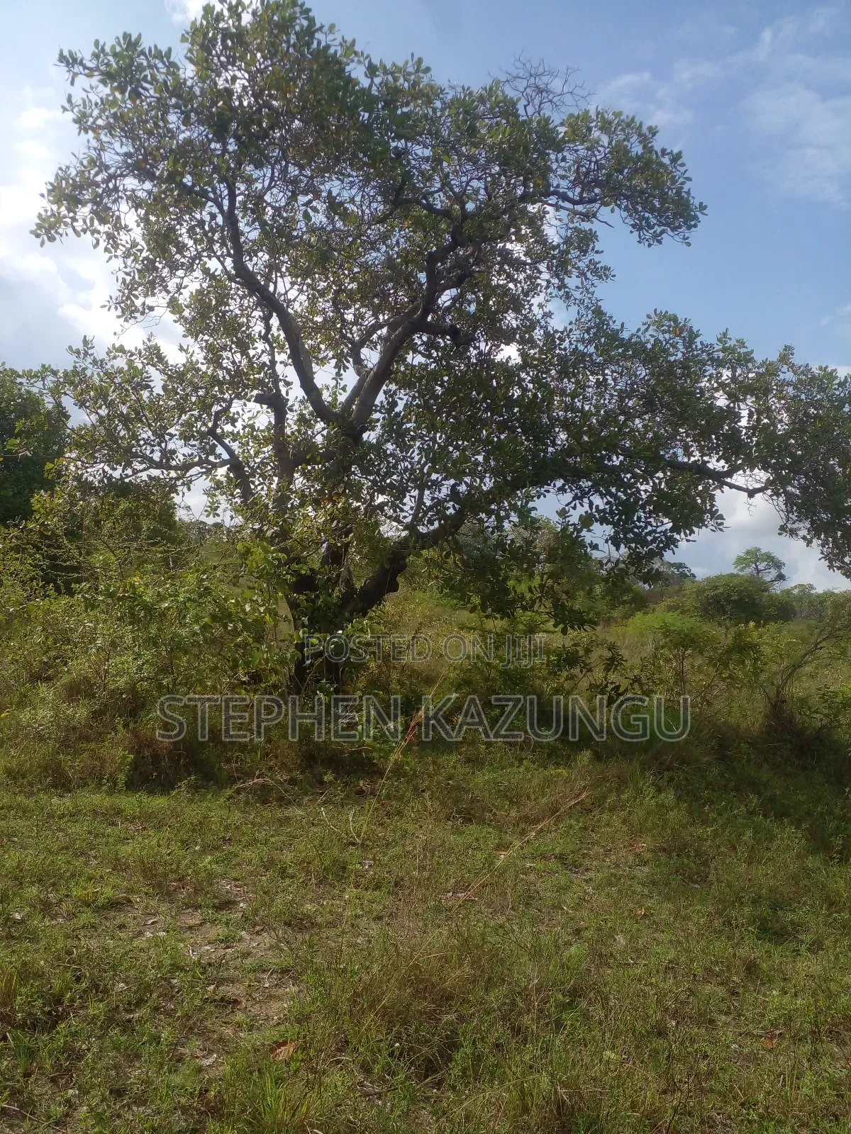 4 Acres Plot on Sale at Magodzoni, Not Far From Tiwi, in Kwale Zone.