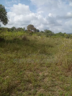 4 Acres Plot on Sale at Magodzoni, Not Far From Tiwi, in Kwale Zone.