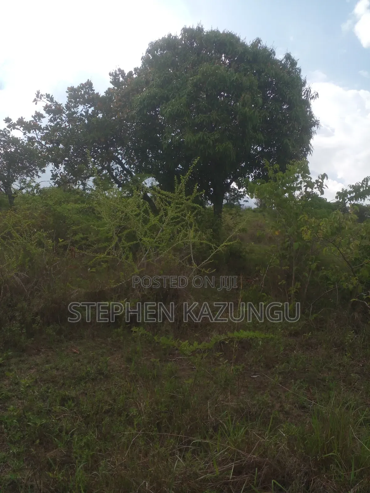 4 Acres Plot on Sale at Magodzoni, Not Far From Tiwi, in Kwale Zone.