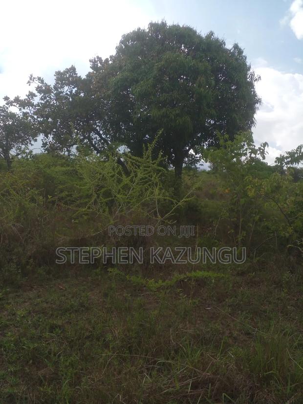 4 Acres Plot on Sale at Magodzoni, Not Far From Tiwi, in Kwale Zone. - thumbnail 10