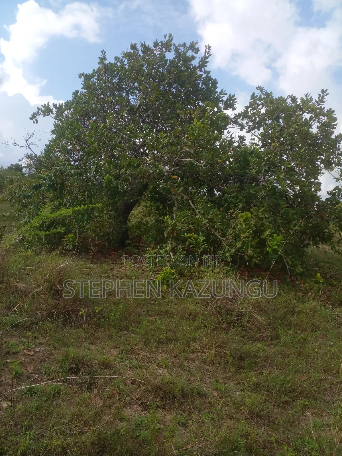 4 Acres Plot on Sale at Magodzoni, Not Far From Tiwi, in Kwale Zone.