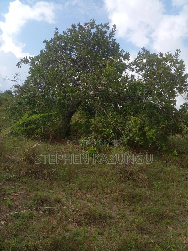 4 Acres Plot on Sale at Magodzoni, Not Far From Tiwi, in Kwale Zone. - thumbnail 11