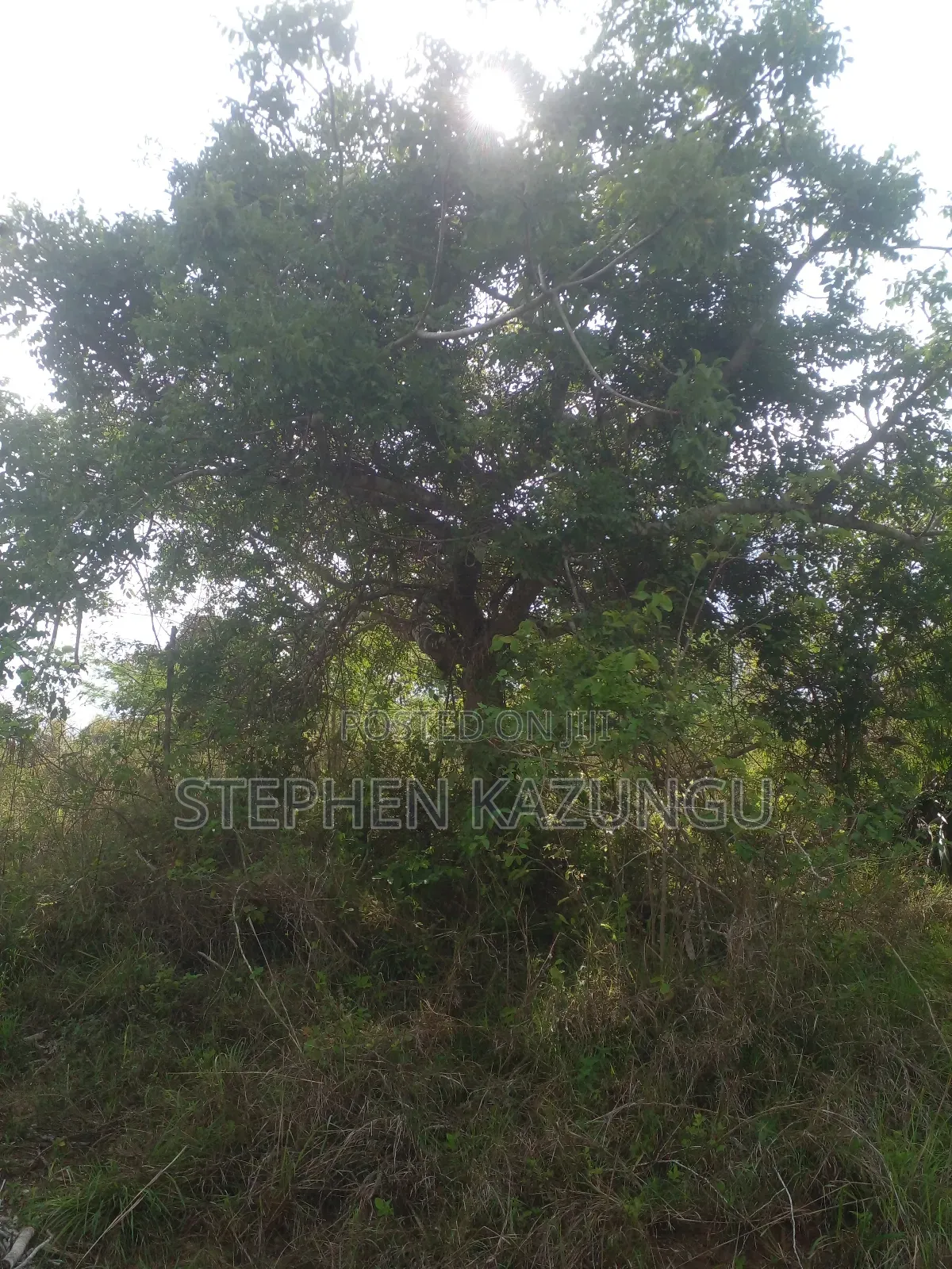 4 Acres Plot on Sale at Magodzoni, Not Far From Tiwi, in Kwale Zone.