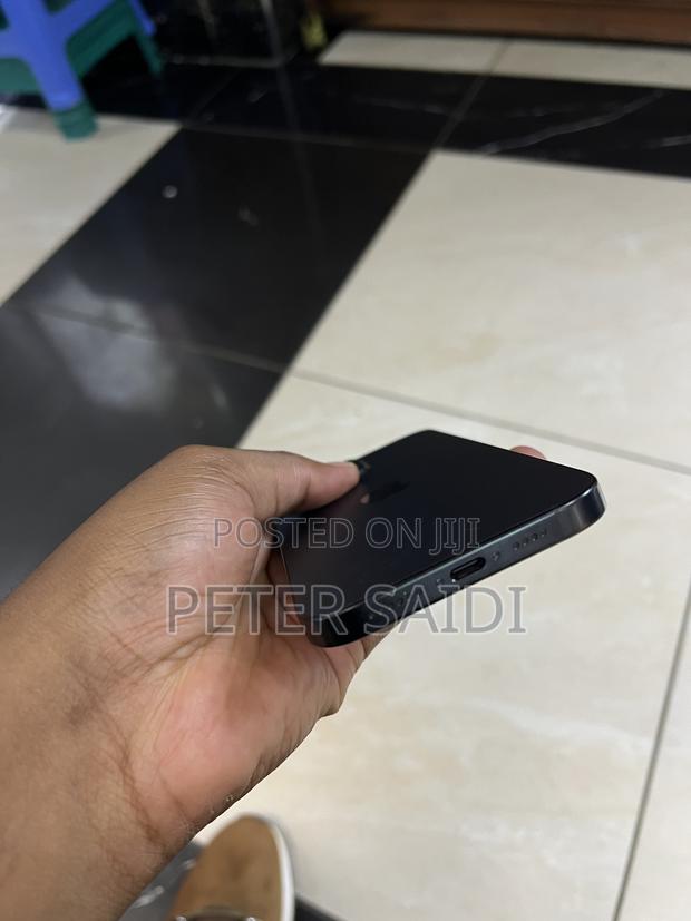 Apple iPhone 16 Pro Max 256 GB Black - thumbnail 6