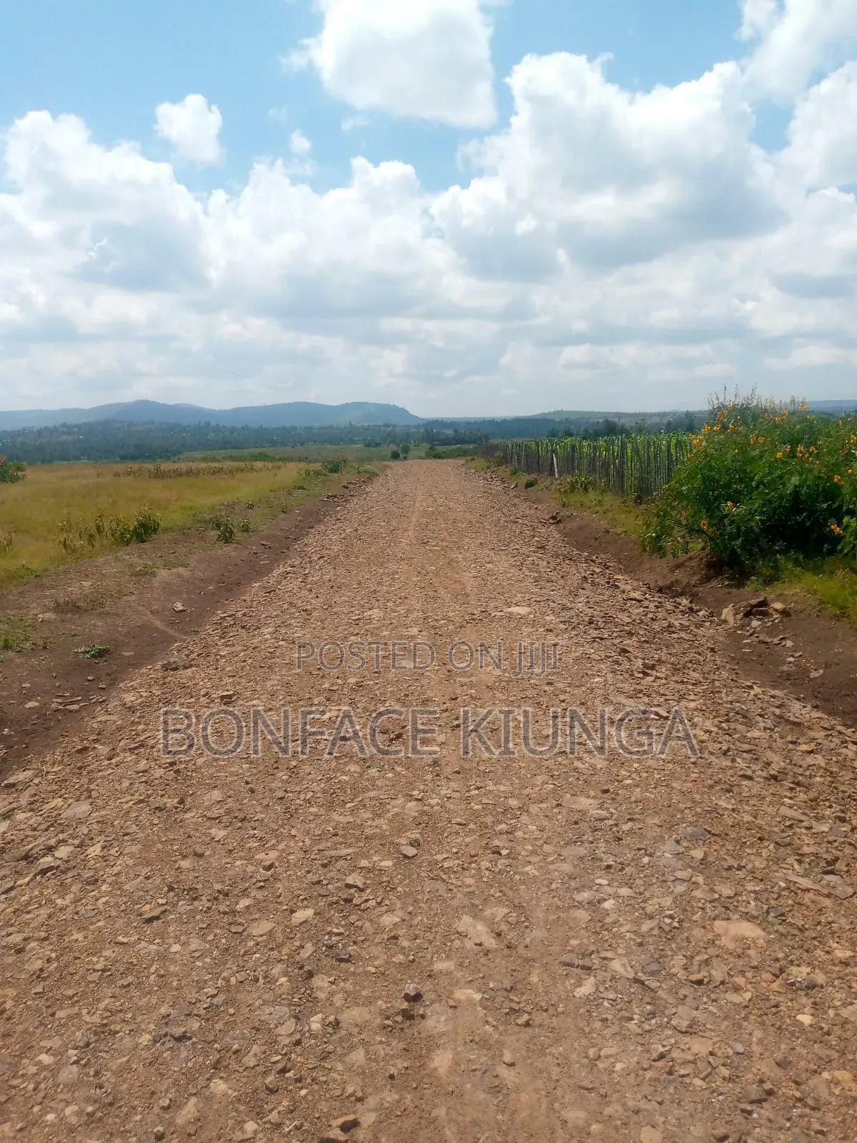 Land for Sale
