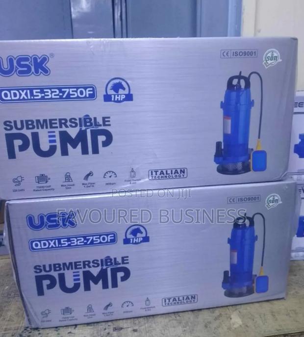 1 Hp Submersible Pump / Electric Submersible Pump 1hp