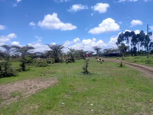 4 Acreas Nanyuki Gobit