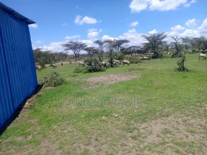 4 Acreas Nanyuki Gobit