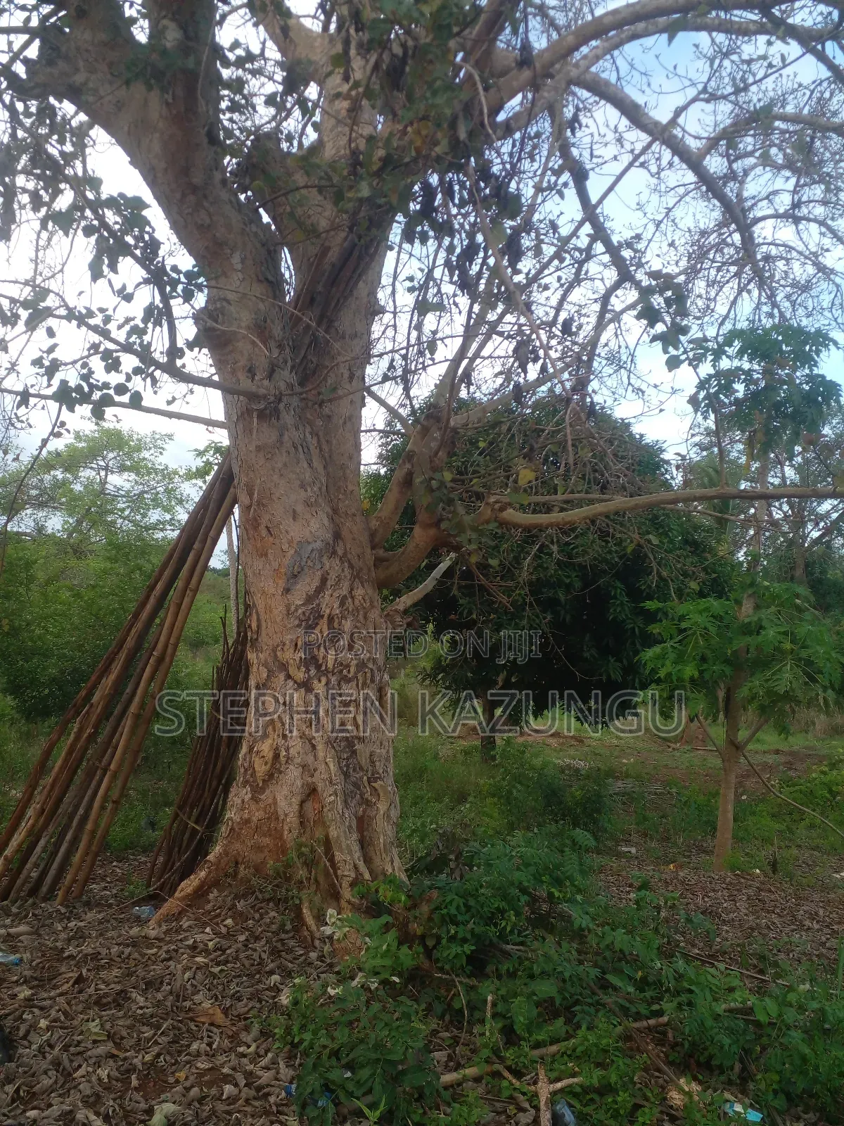 3/4 Acre Plot in Ukunda Kona Musa, in Between Babla and Mvindeni.