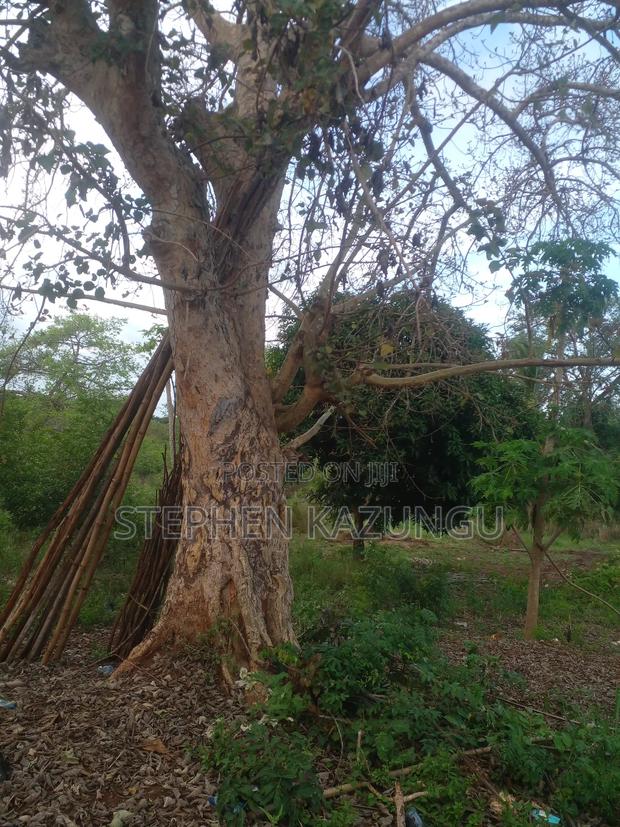 3/4 Acre Plot in Ukunda Kona Musa, in Between Babla and Mvindeni. - main view