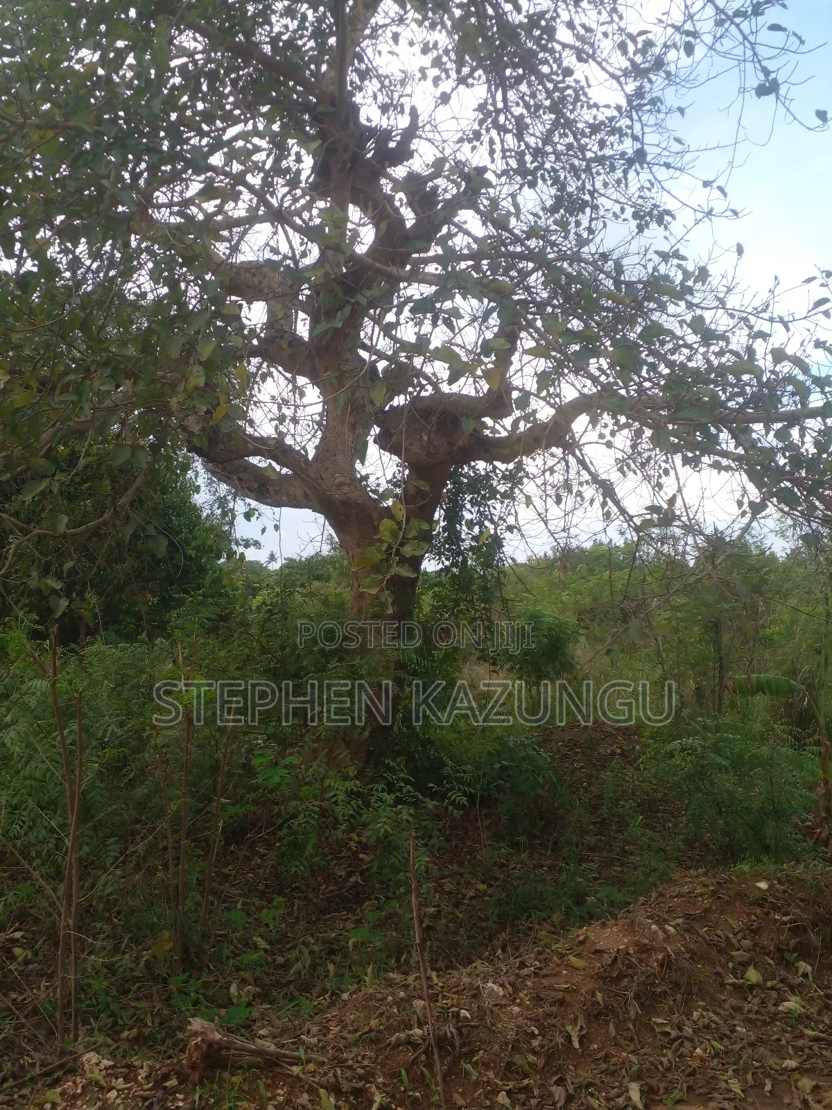 3/4 Acre Plot in Ukunda Kona Musa, in Between Babla and Mvindeni.