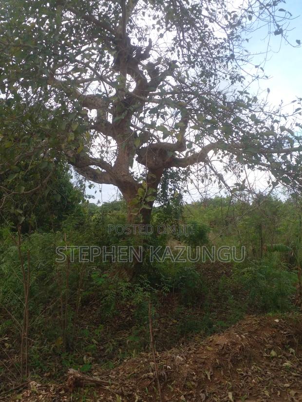 3/4 Acre Plot in Ukunda Kona Musa, in Between Babla and Mvindeni. - thumbnail 7