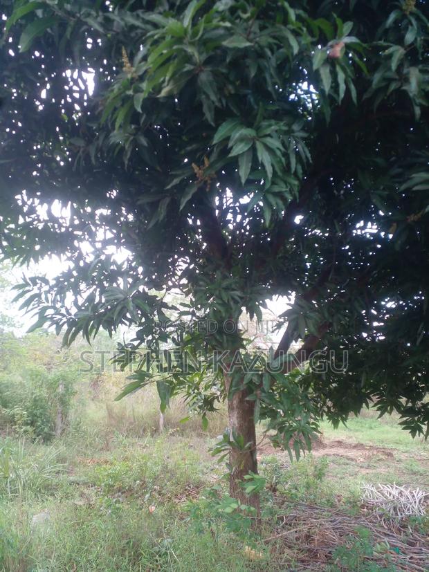 3/4 Acre Plot in Ukunda Kona Musa, in Between Babla and Mvindeni. - thumbnail 9