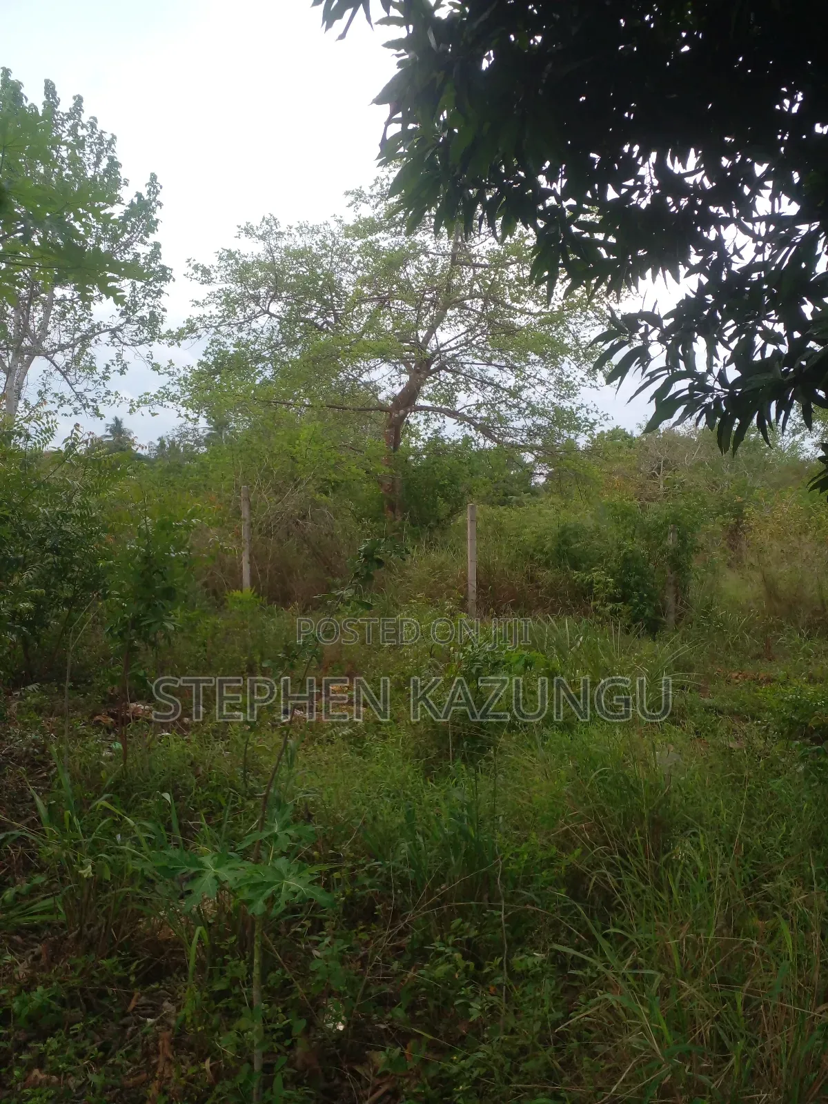 3/4 Acre Plot in Ukunda Kona Musa, in Between Babla and Mvindeni.