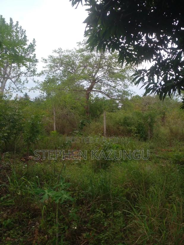 3/4 Acre Plot in Ukunda Kona Musa, in Between Babla and Mvindeni. - thumbnail 10