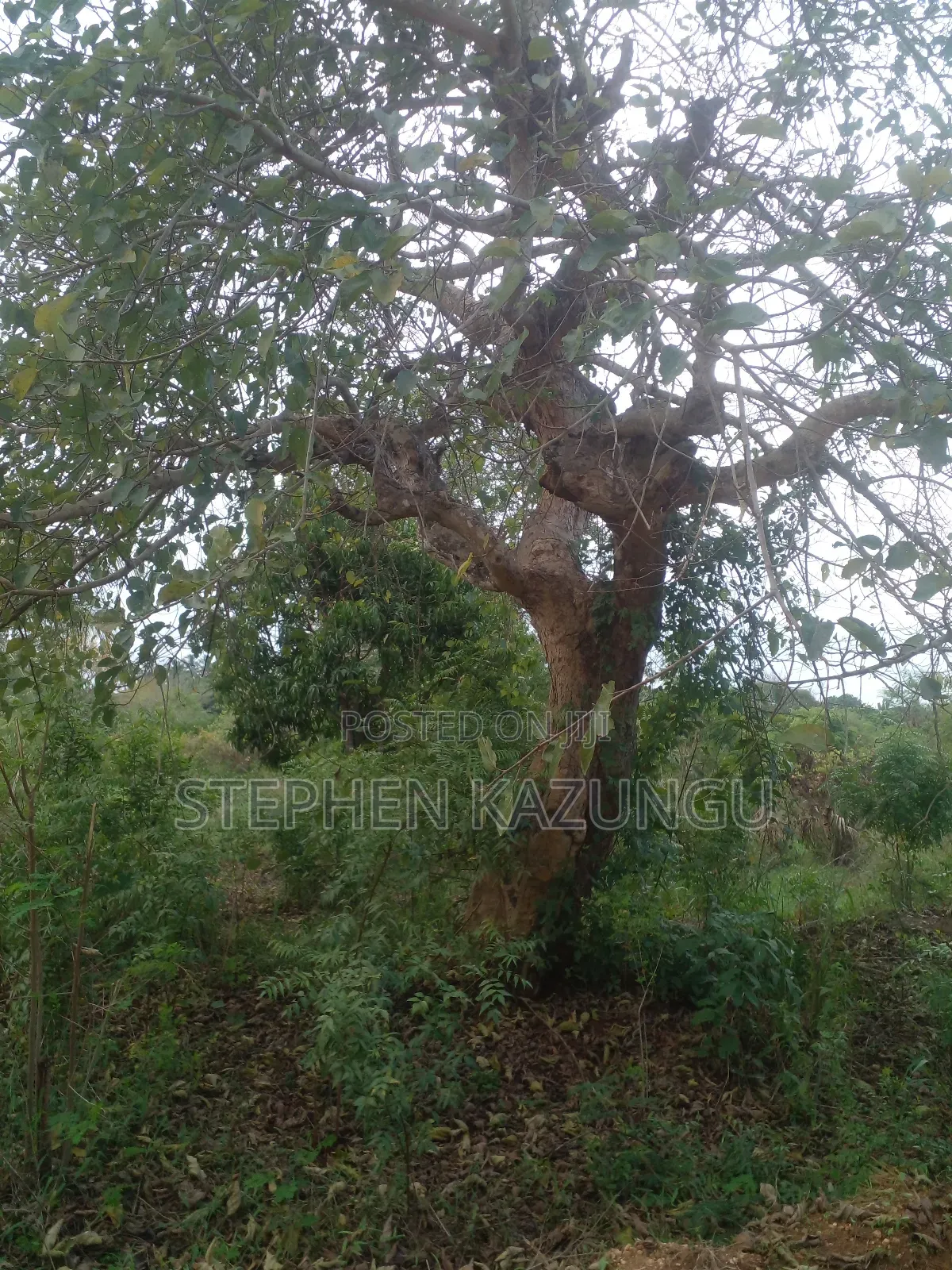 3/4 Acre Plot in Ukunda Kona Musa, in Between Babla and Mvindeni.