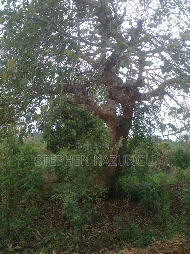 3/4 Acre Plot in Ukunda Kona Musa, in Between Babla and Mvindeni. - thumbnail 13