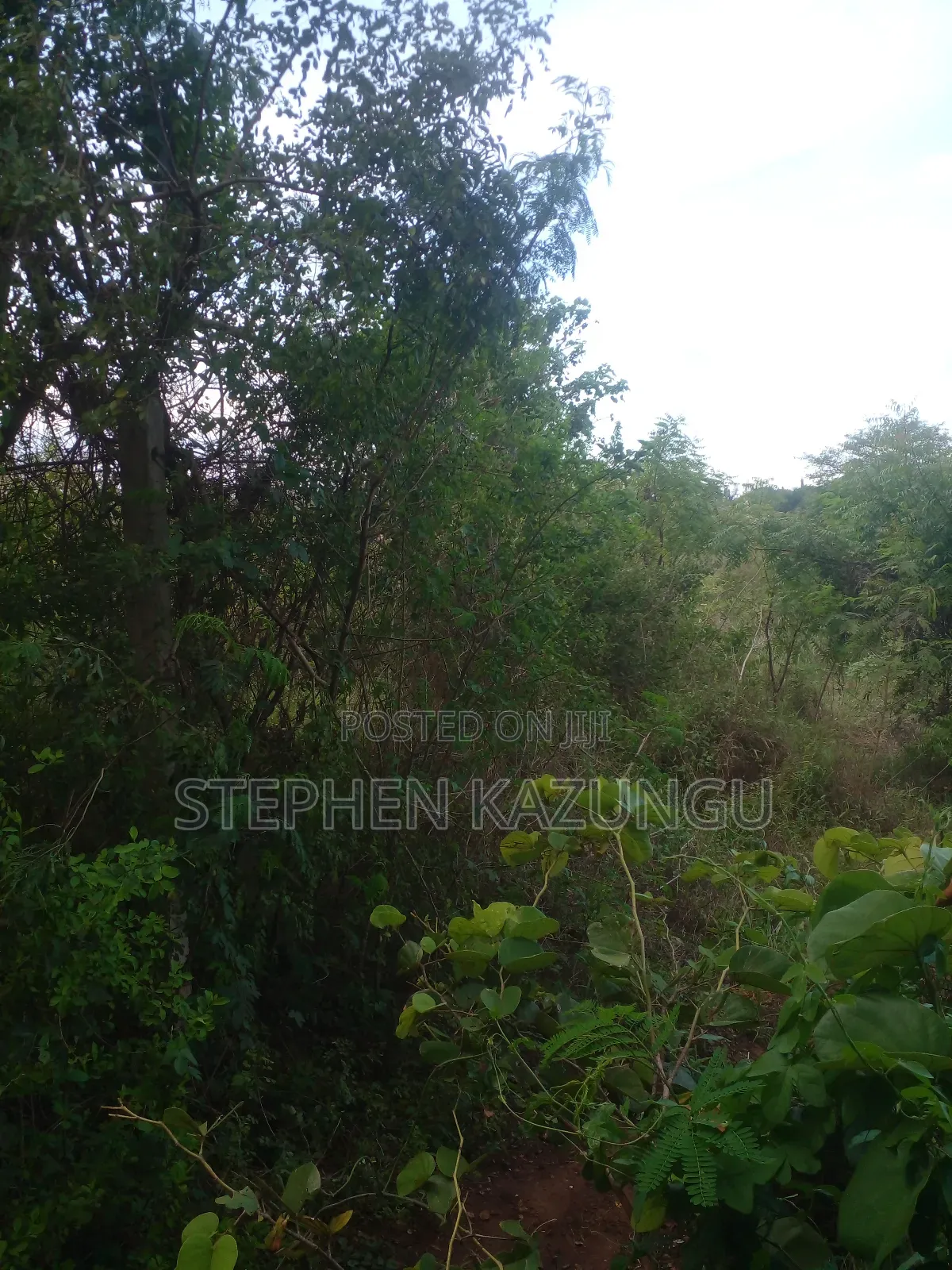 3/4 Acre Plot in Ukunda Kona Musa, in Between Babla and Mvindeni.