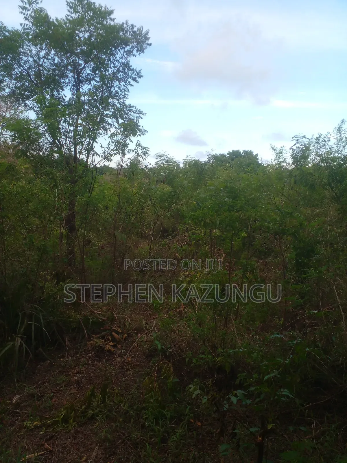 3/4 Acre Plot in Ukunda Kona Musa, in Between Babla and Mvindeni.