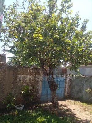 4bdrm House in Ratinga Zone, Ukunda for sale