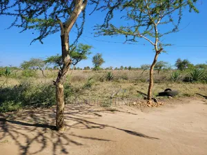 Land On Sale Near Konza City