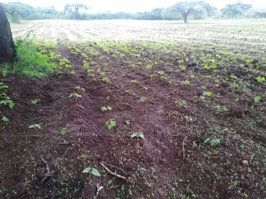 1/2 Acre Prime Plot for Sale Mercy Njeri/ Kiamunyi/ Nakuru