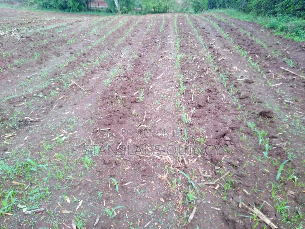 1/2 Acre Prime Plot for Sale Mercy Njeri/ Kiamunyi/ Nakuru