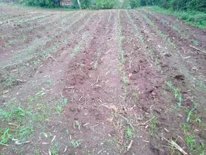 1/2 Acre Prime Plot for Sale Mercy Njeri/ Kiamunyi/ Nakuru