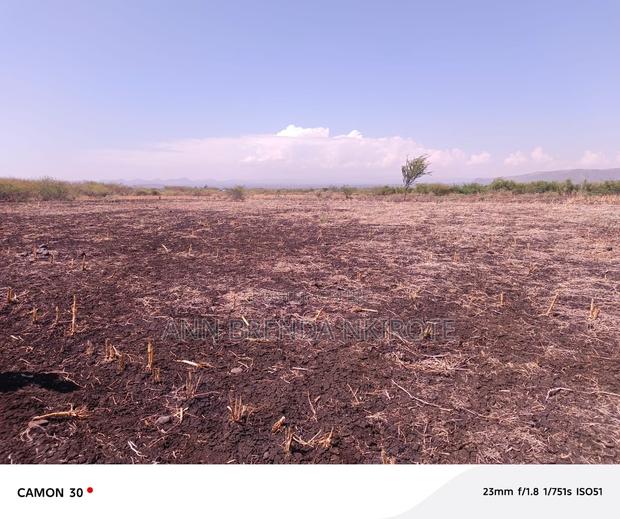 Land For Sale - thumbnail 2