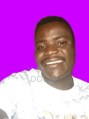 Software Developer
