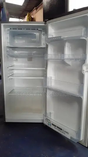 Fridge Repair and Servicing