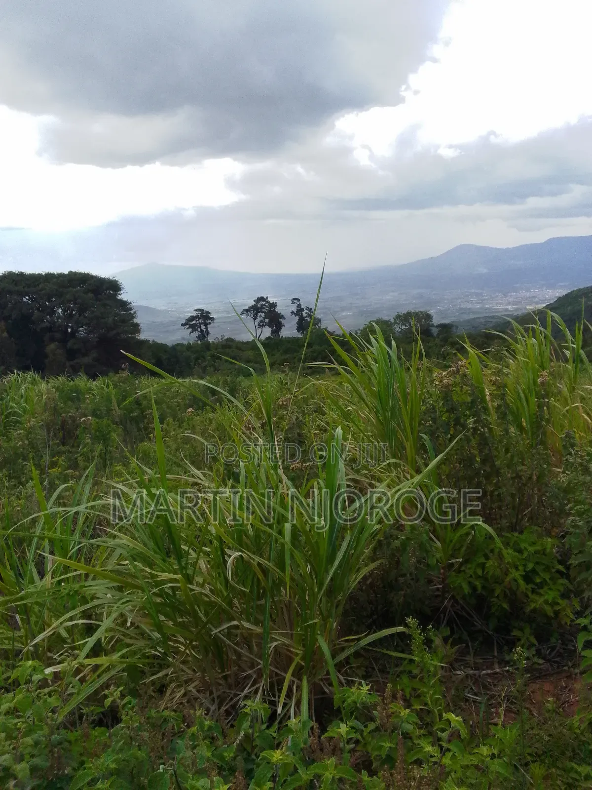 2 Acres Gitithia, Uplands