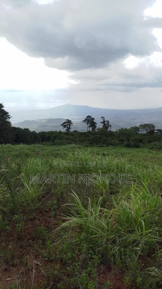 2 Acres Gitithia, Uplands - thumbnail 4