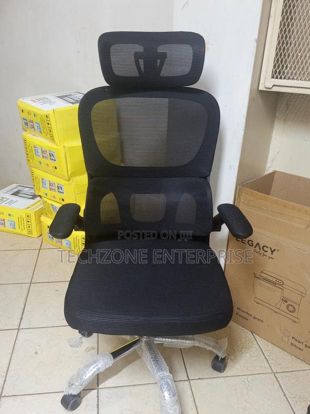 Orthopedic High Back Mesh Office Chair ~ Headrest, Lumbar Support 