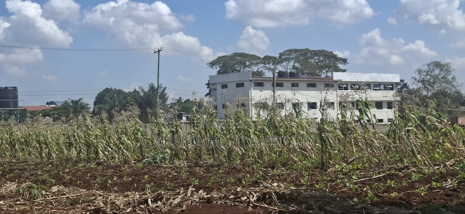25 Acres West Kitisuru Kirawa Road