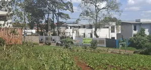 25 Acres West Kitisuru Kirawa Road