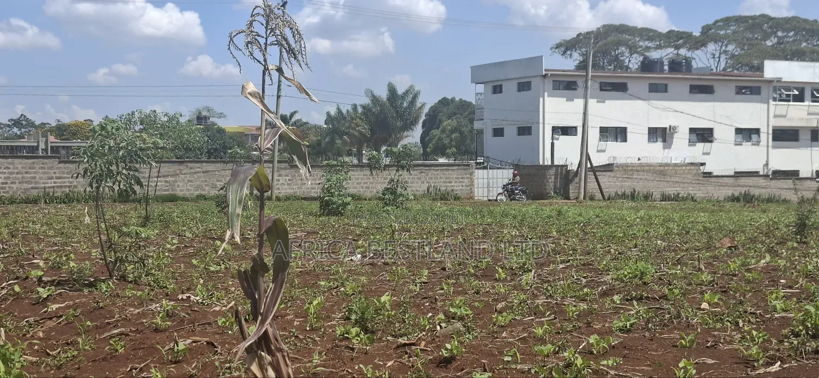 25 Acres West Kitisuru Kirawa Road