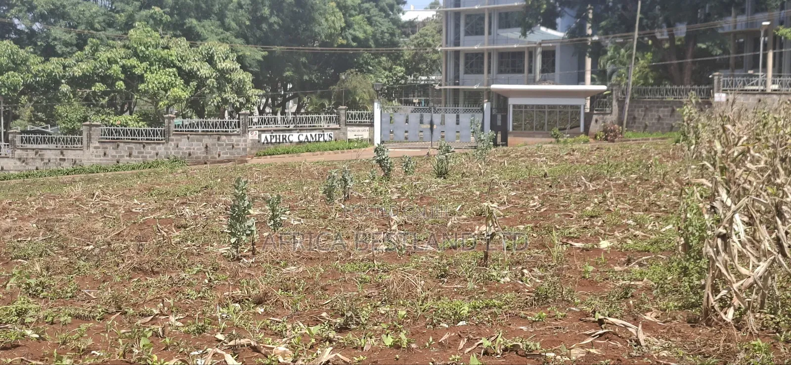 25 Acres West Kitisuru Kirawa Road