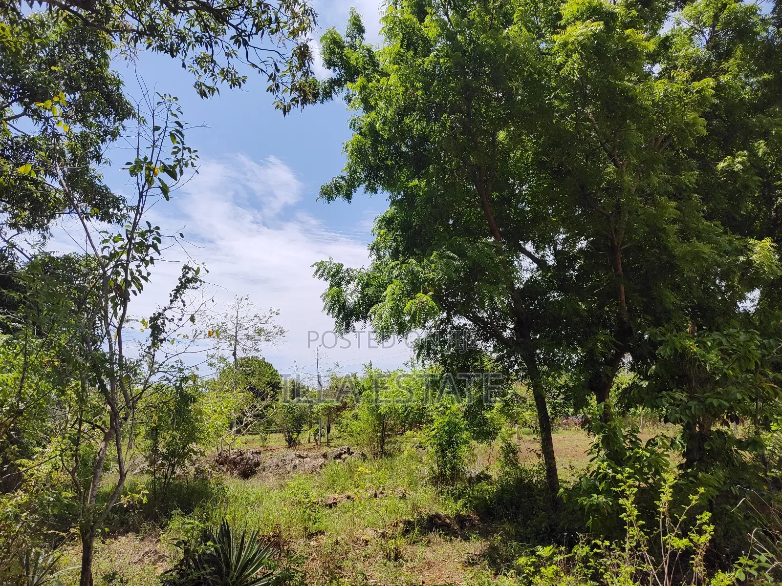 High-Value Land