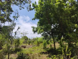 High-Value Land