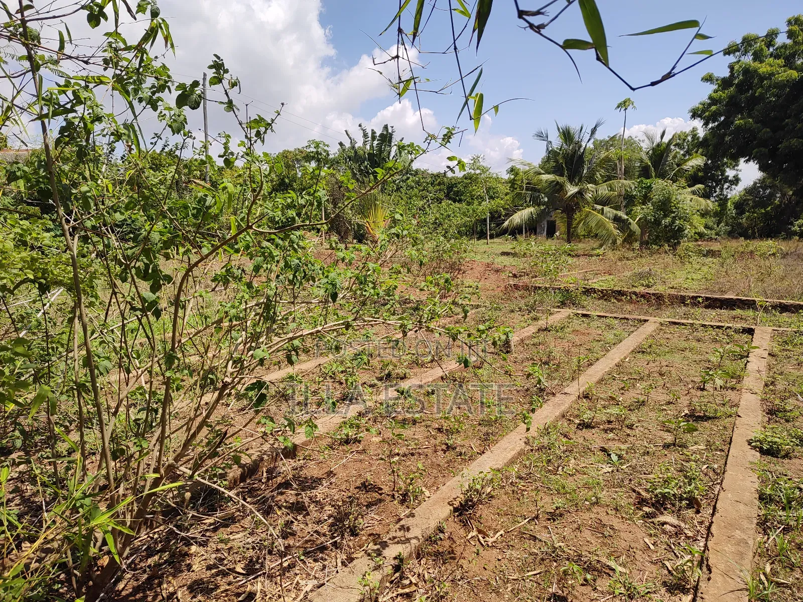 High-Value Land