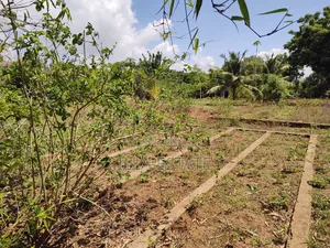 High-Value Land